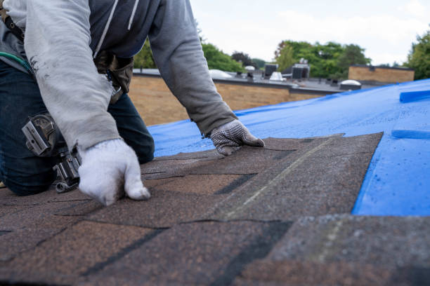 Best Residential Roof Replacement  in Jerome, IL